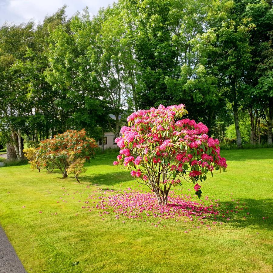 Hotel Bogenraith House Banchory Zewnętrze zdjęcie
