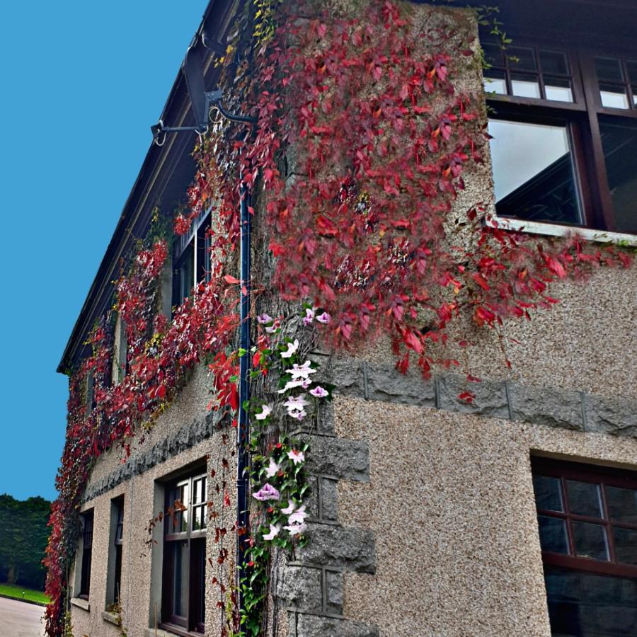 Hotel Bogenraith House Banchory Zewnętrze zdjęcie